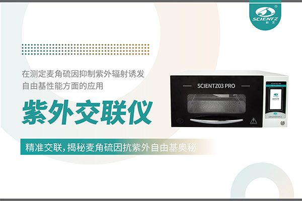 紫外交聯儀在麥角硫因研究中的創(chuàng)新應用