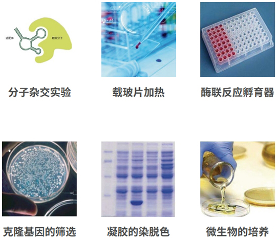 undefined 應用領域